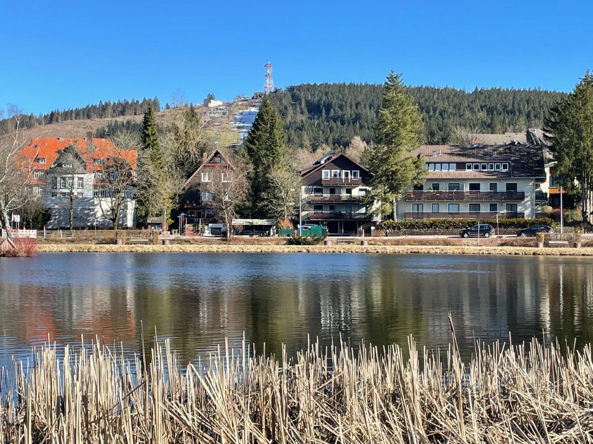 Wohnunghahnenkleeld Goslar Kültér fotó